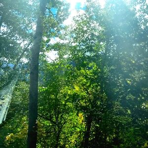 Meet your Posher, Isabella